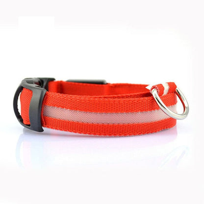 Collar LED de Seguridad para Perros — Visible de Noche