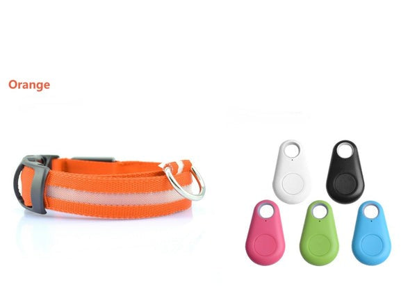 Collar LED de Seguridad para Perros — Visible de Noche