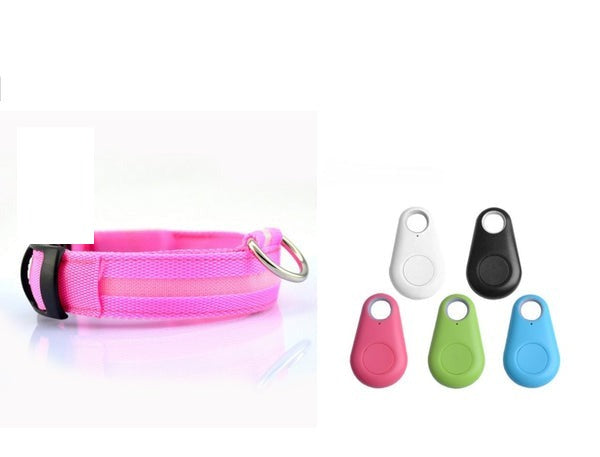 Collar LED de Seguridad para Perros — Visible de Noche
