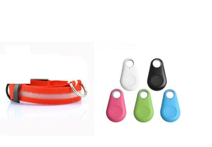 Collar LED de Seguridad para Perros — Visible de Noche