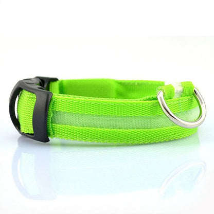 Collar LED de Seguridad para Perros — Visible de Noche