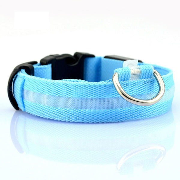 Collar LED de Seguridad para Perros — Visible de Noche