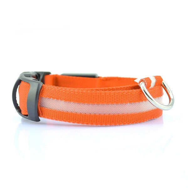 Collar LED de Seguridad para Perros — Visible de Noche