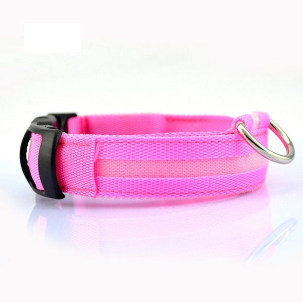 Collar LED de Seguridad para Perros — Visible de Noche