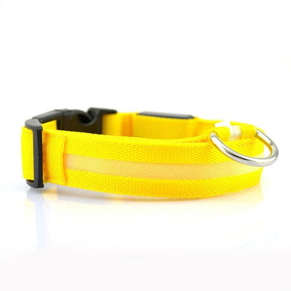 Collar LED de Seguridad para Perros — Visible de Noche